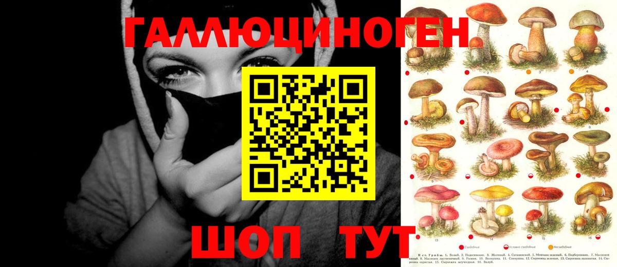 Галлюциногенные грибы мицелий Анжеро-Судженск