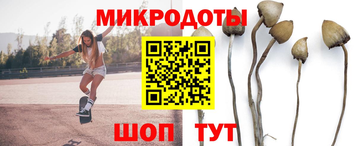 Псилоцибиновые грибы мицелий  закладки  Анжеро-Судженск  Вход с VPN 